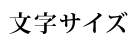 文字サイズの変更